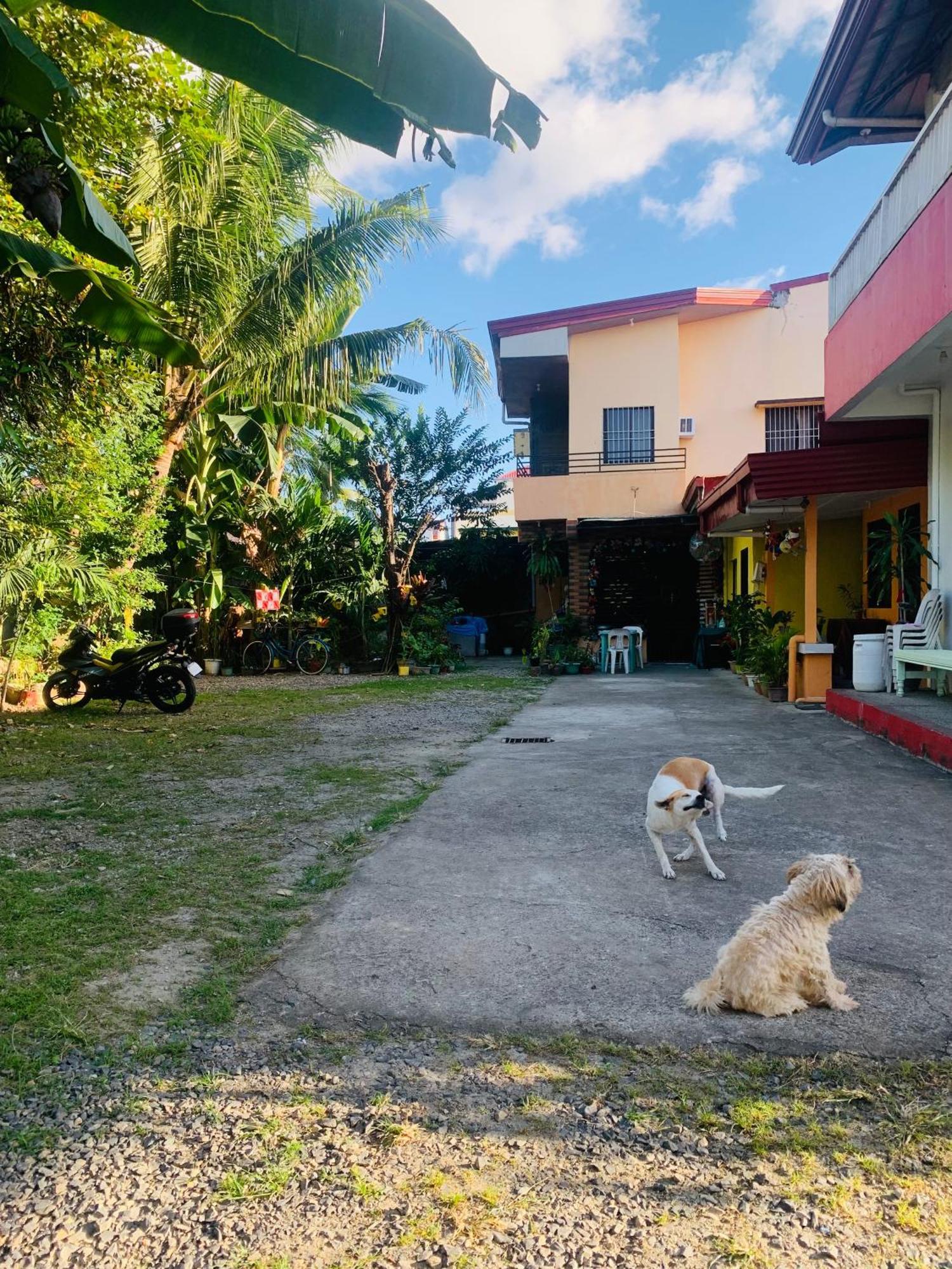 Perlies Inn NEW Barkada House with NETFLIX&WIFI Tanay Bagian luar foto